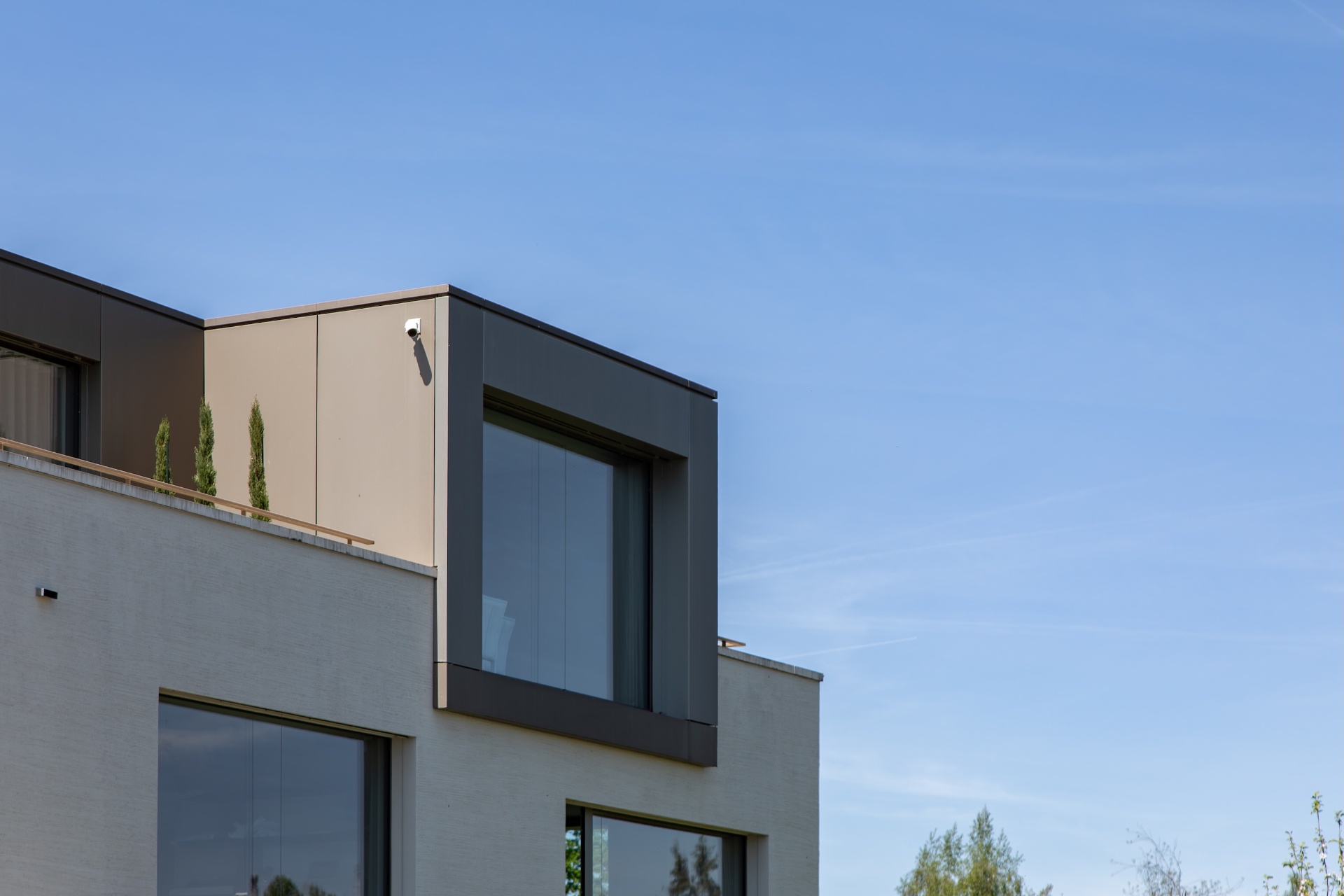 Villa Pfäffikon, Image 3